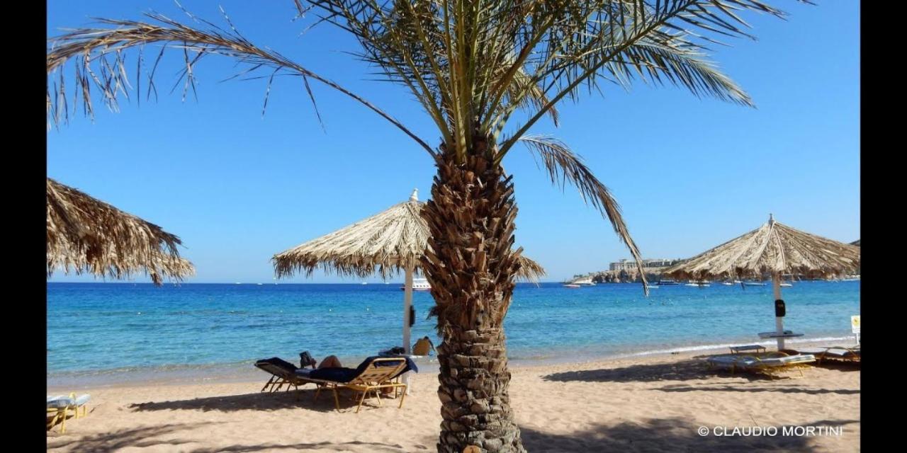 Hotel Sharm Dreams Vacation Club - Aqua Park Exterior foto El Alamein beach